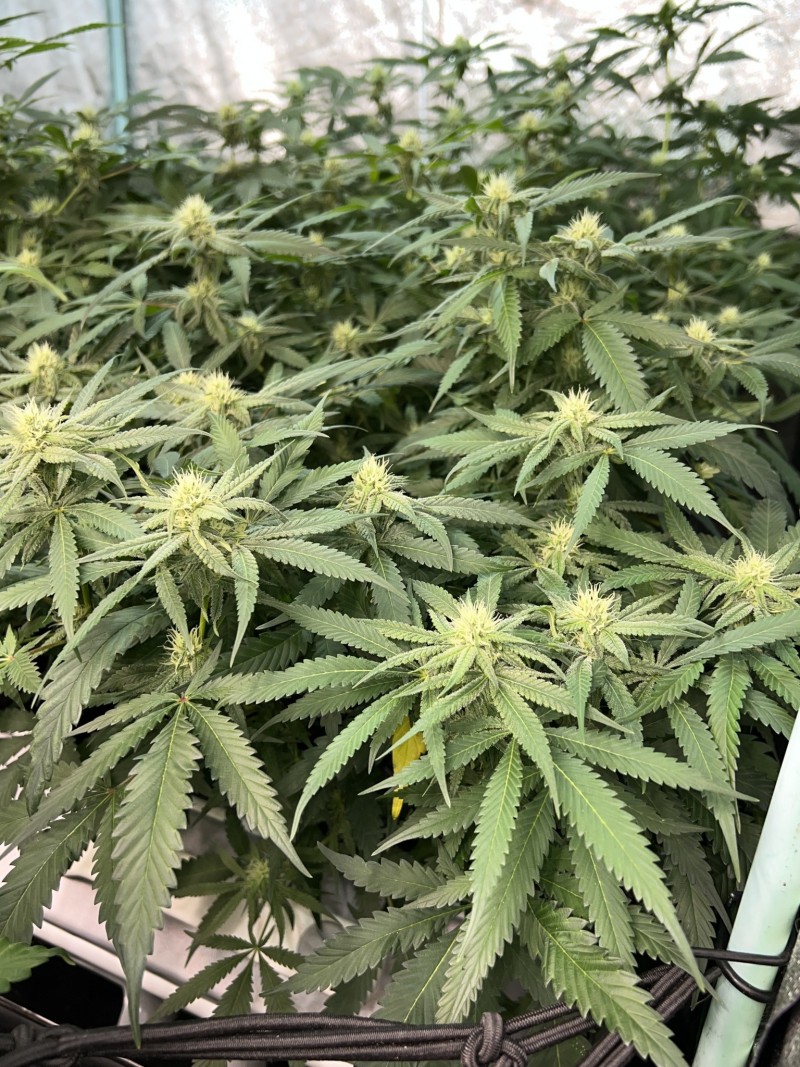 C464370C-6899-4B8B-A1F1-0838B9325F16