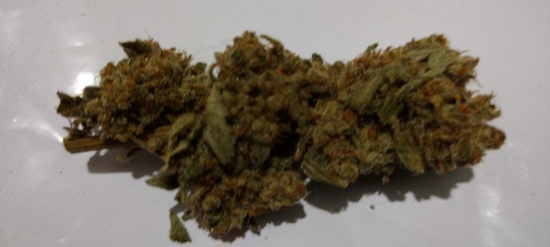 IMG_20220916_140956537