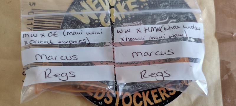 IMG_20220928_160032656_HDR