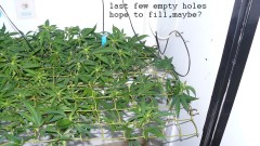 drobes 29 09 22 003