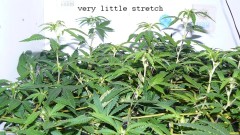 drobes 29 09 22 004