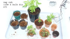 drobes 29 09 22 011