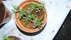 drobes 29 09 22 017