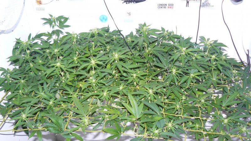 drobes 03 10 22 001