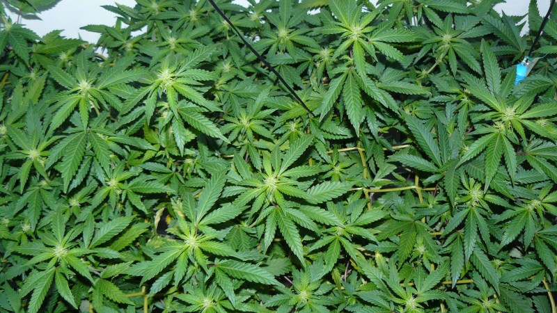 drobes 03 10 22 006