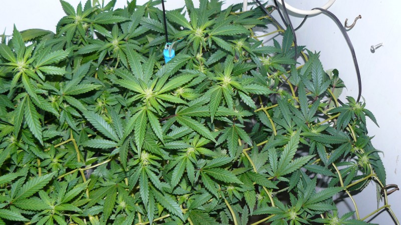 drobes 03 10 22 007