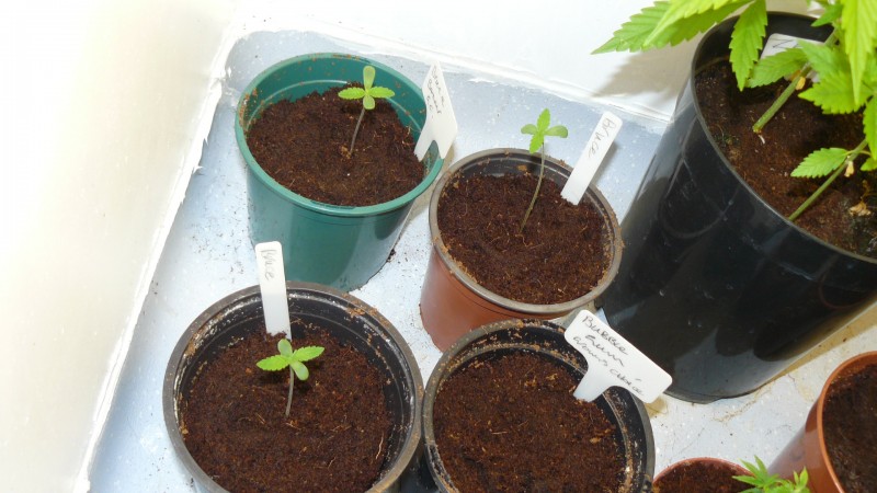 drobes 03 10 22 011
