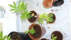 drobes 03 10 22 013
