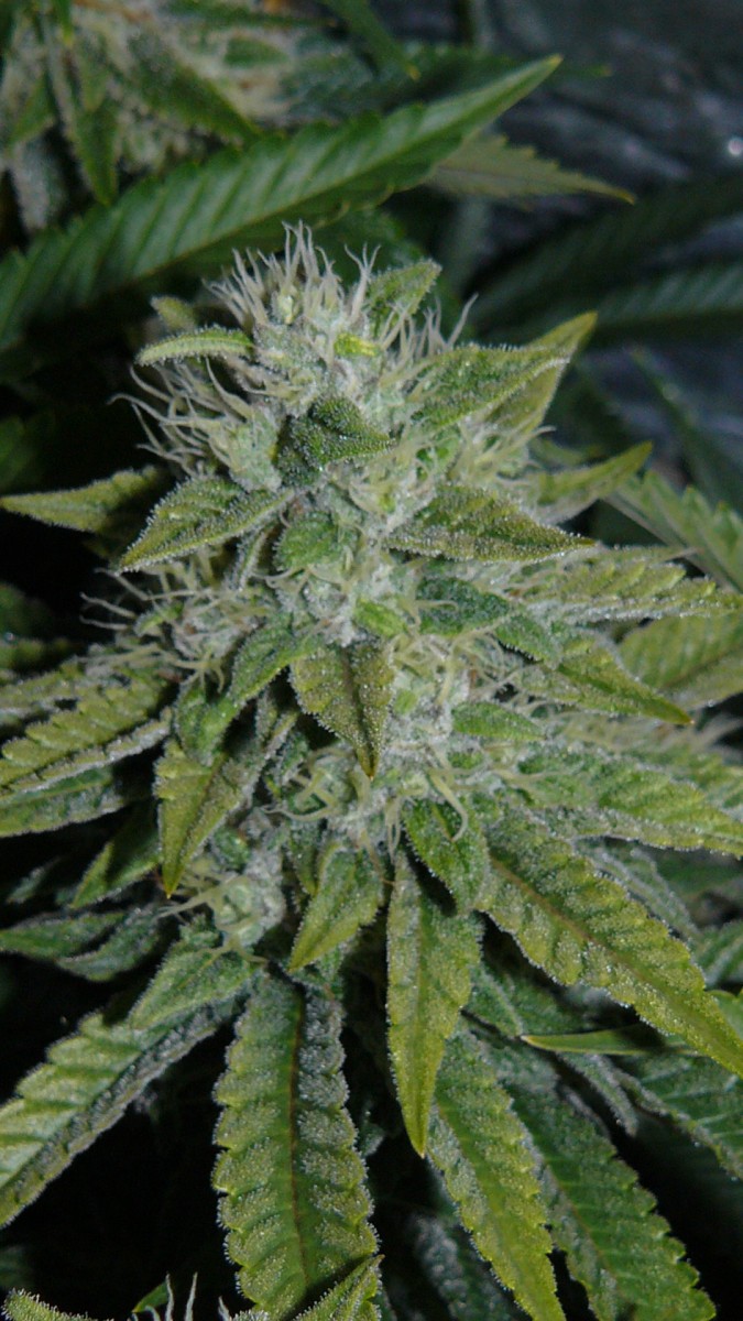 drobes 03 10 22 016