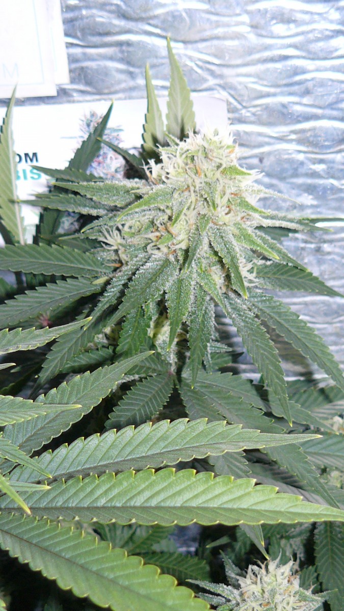 drobes 03 10 22 020