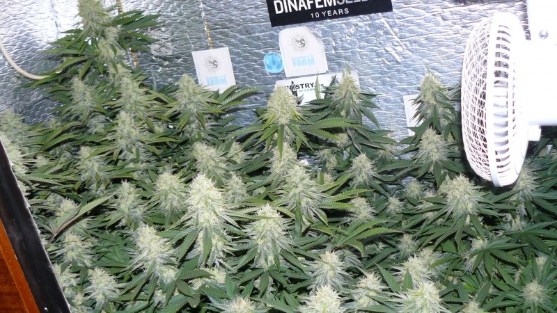 drobes 03 10 22 034