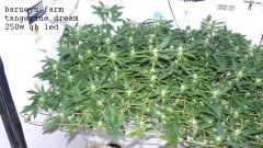 drobes 07 10 22 001