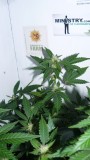 drobes 07 10 22 008