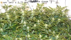 drobes 11 10 22 002