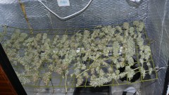 drobes 20 10 22 035