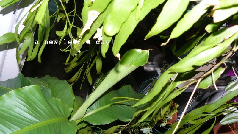 drobes 20 10 22 038