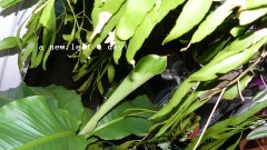 drobes 20 10 22 038