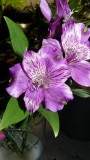 drobes 20 10 22 042