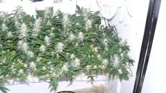 drobes 24 10 22 003