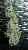 drobes 24 10 22 041