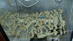drobes 24 10 22 048