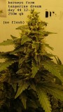 drobes 31 10 22 001