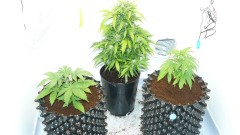 drobes 31 10 22 025