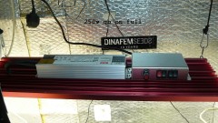 drobes 31 10 22 032