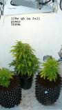 drobes 06 11 22 018