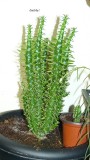 drobes 06 11 22 051