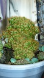 drobes 06 11 22 052