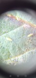 Screenshot_20221115_185533_com.android.gallery3d