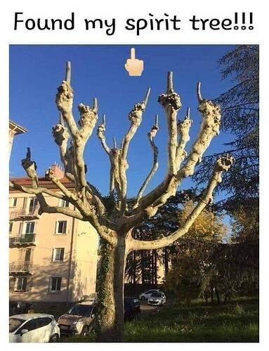 c3b60c2130da20433317e0ba0d4d951876a657b0_2_383x500 tree