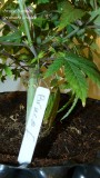 drobes 01 12 22 004