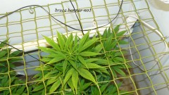 drobes 01 12 22 008