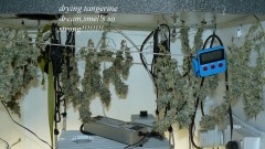 drobes 01 12 22 012