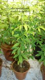 drobes 01 12 22 015