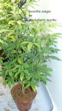 drobes 01 12 22 016