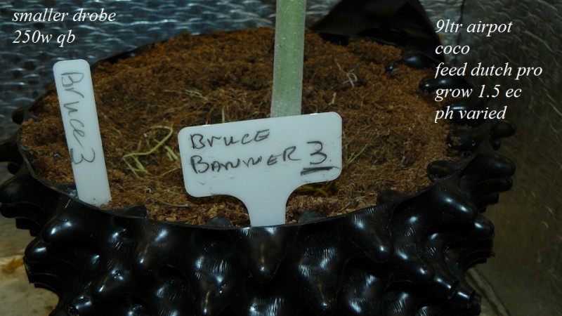 drobes 01 12 22 019
