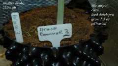 drobes 01 12 22 019