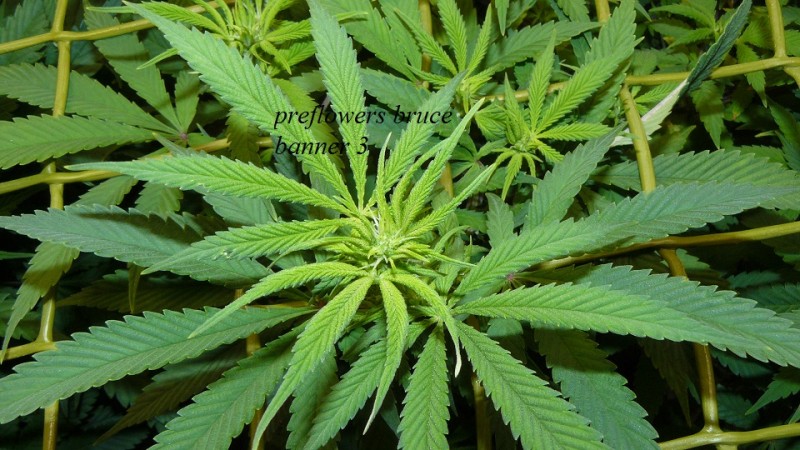 drobes 01 12 22 022