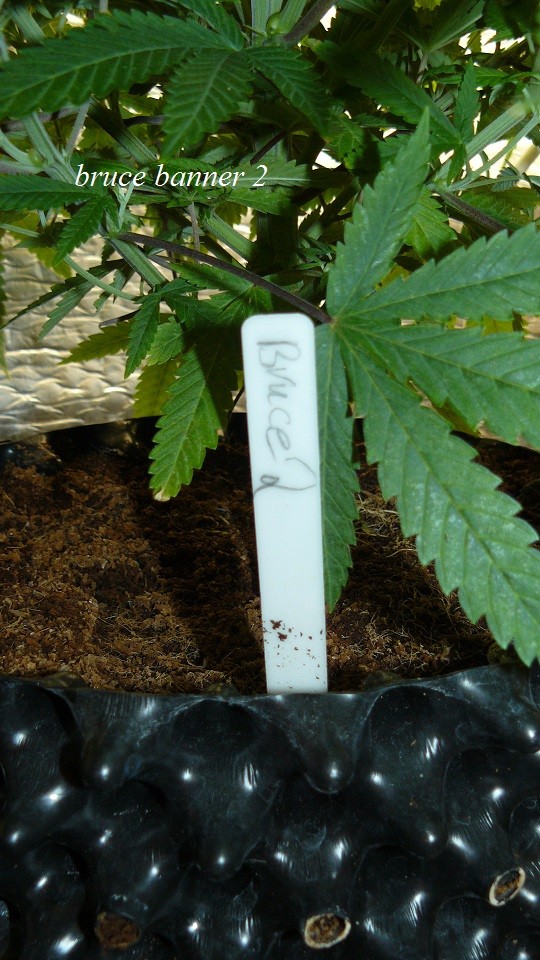 drobes 01 12 22 023