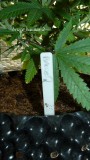 drobes 01 12 22 023
