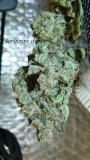 drobes 01 12 22 031