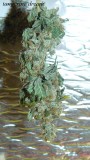 drobes 01 12 22 032