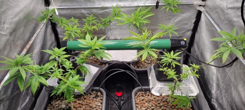 IMG_20221214_165216223_HDR