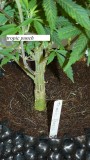 drobes 14 12 22 015