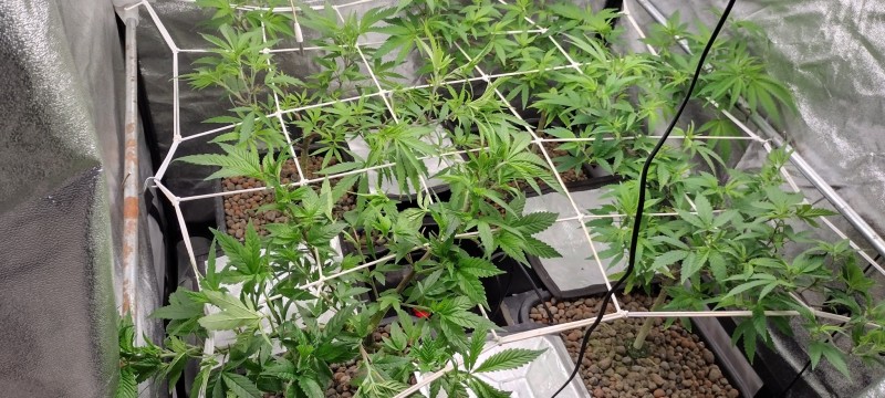 IMG_20221225_192100021_HDR