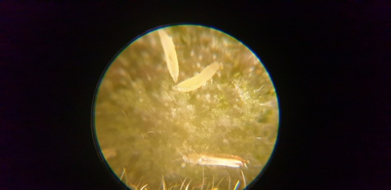 20190618_185320