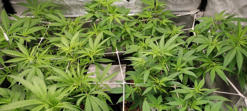 IMG_20221229_202923548_HDR